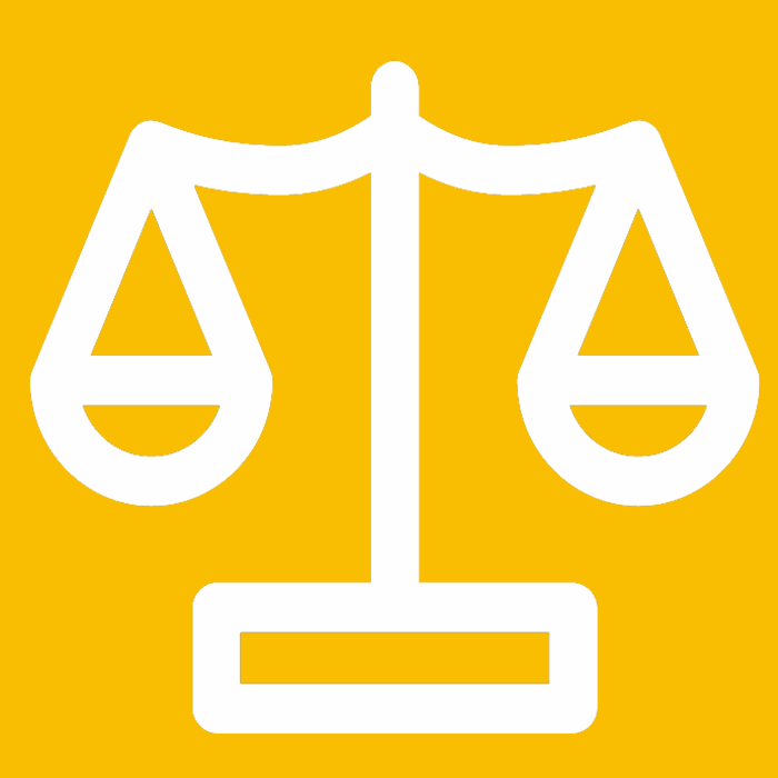 expert witness | tribunal litigation | court arbitration